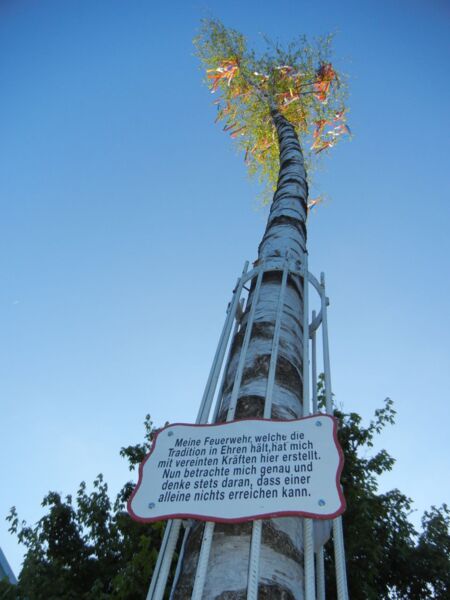 maibaum-in-kitzingen
