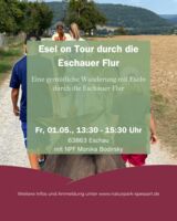 Esel on Tour durch die Eschauer Flur