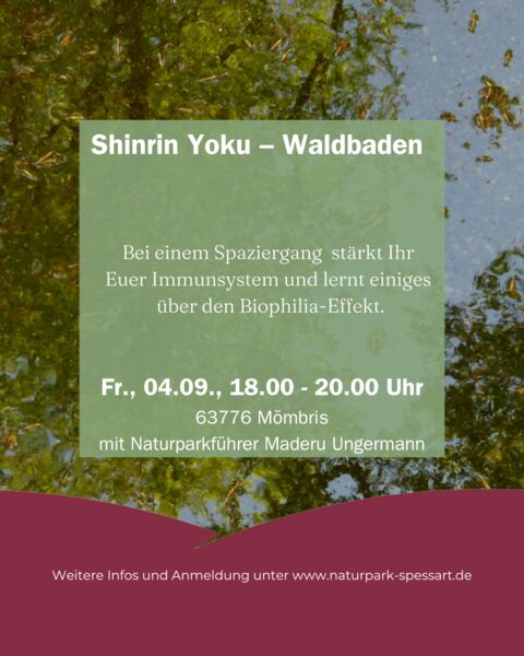 shinrinyoku-waldbaden