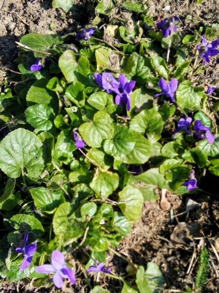 schlossparkfuhrung-auf-dem-schwanberg-immer-am-3-sonntag-im-monat