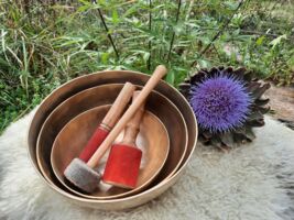 Main Klang Duft – Kräuter mit allen Sinnen erleben