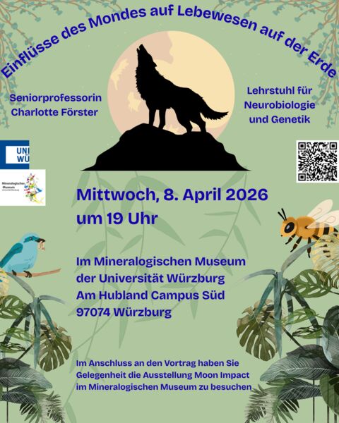 einflusse-des-mondes-auf-lebewesen-auf-der-erde