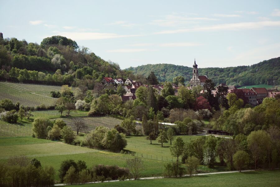 weinwandeln-weintour-durch-castell