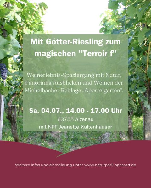 mit-gotter-riesling-zum-magischen-terroir-f