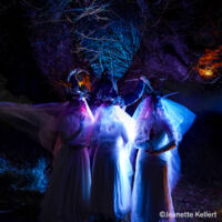 Tanzvilla Creglingen