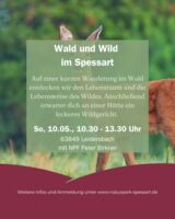 Wald und Wild im Spessart