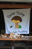 15. Eberner Pilztage am 17./18. Oktober