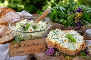Geführte Kräuterwanderung Rhön