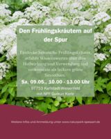 Den Frühlingskräutern auf der Spur