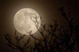 Mondaufgangsführung