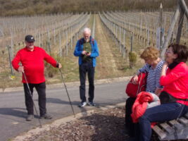 Geführte Halbtageswanderung Handthal - Stollburg - Magdalenenkreuz