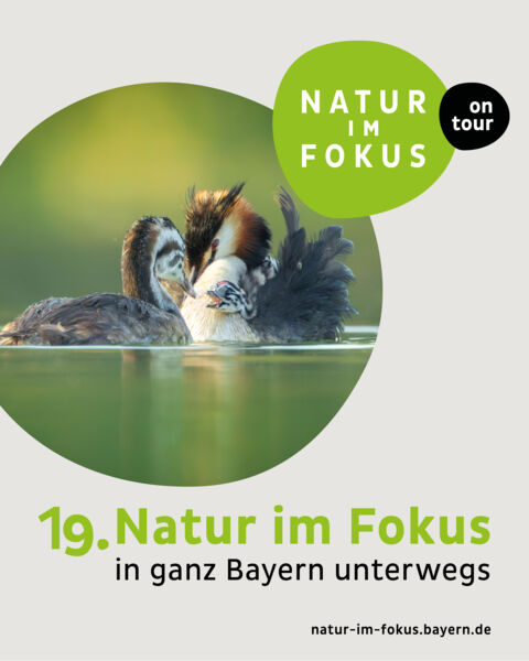 ausstellung-natur-im-fokus