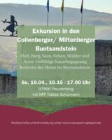 Exkursion in den Collenberger/ Miltenberger Buntsandstein