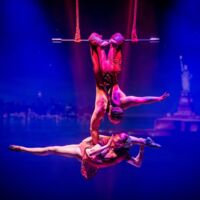 VIP-Networking & Vorpremiere