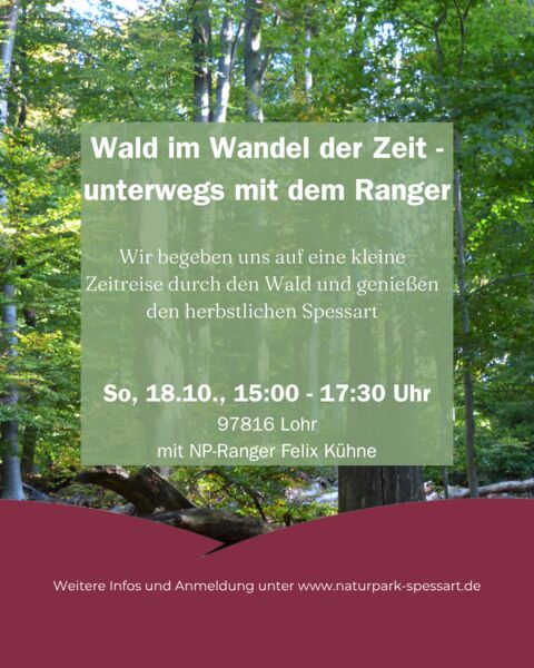 wald-im-wandel-der-zeit-unterwegs-mit-dem-ranger