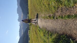 Unterwegs mit den NaturFreunden