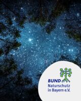 Nächtliche Expedition in die Natur - Für Familien mit Kindern ab 6 Jahren