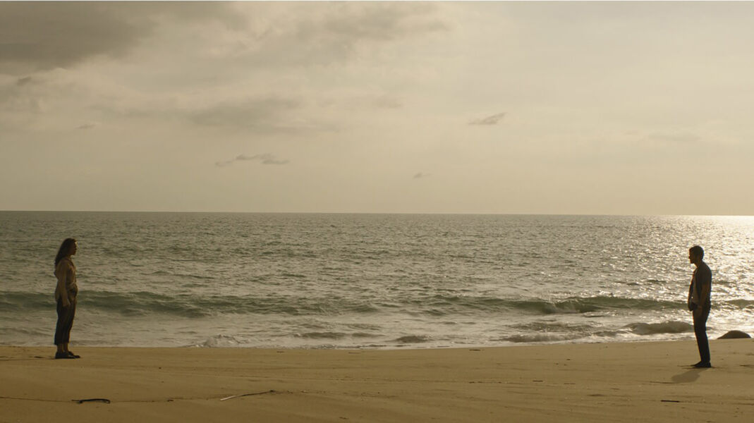 preview-send-help-2d-und-3d