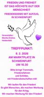 Friedensdemo am 8. Februar 2026 in Schweinfurt