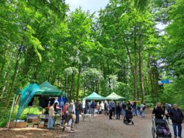 Waldtag 2026 – “Wald- und Wiesenschätze”