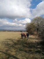 Wanderung für Singles Ü50 auf die Wasserkuppe