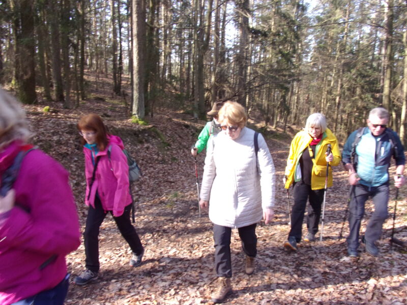 ganztageswanderung-des-steigerwaldklub-gerolzhofen-im-buhlgrund