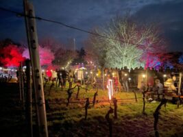 Weinbergsleuchten Randersacker