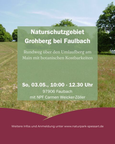 naturschutzgebiet-grohberg-bei-faulbach