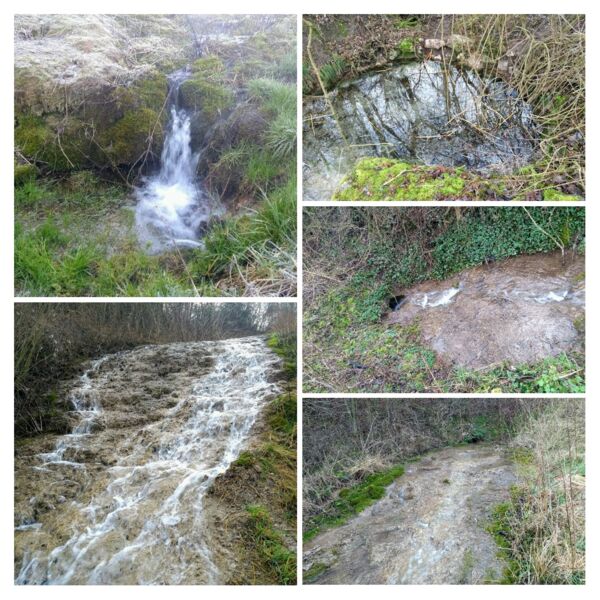 fruhling-an-wasser-und-wiese