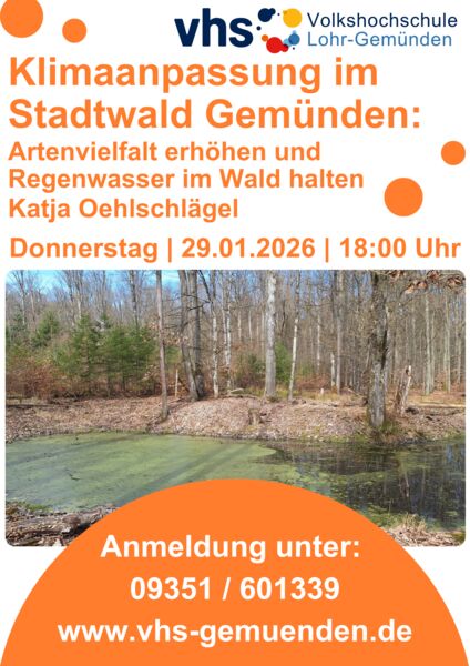 klimaanpassung-im-stadtwald-gemunden-artenvielfalt-erhohen-und-regenwasser-im-wald-halten