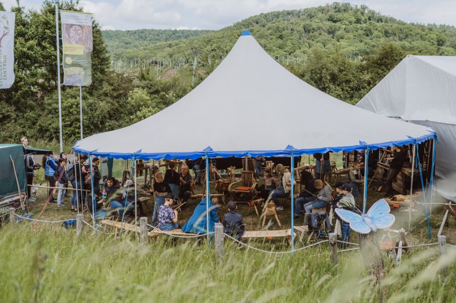 waldtag-2026-wald-und-wiesenschatze