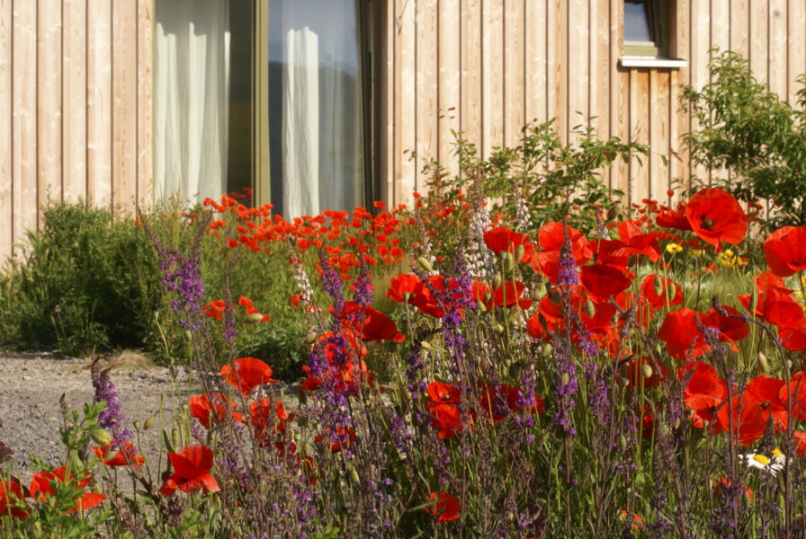 vortrag-zum-thema-vorgarten-bepflanzung