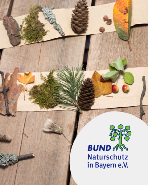 kreative-weihnachtspost-aus-naturmaterialien-workshop