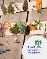 Kreative Weihnachtspost aus Naturmaterialien - Workshop