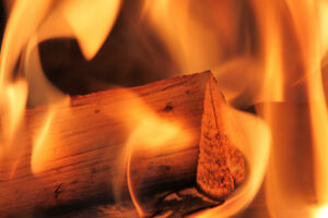 Heizen mit Holz – Förderung verständlich erklärt (online)