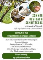 Sommer Obstbaum Schnittkurs des Obst- und Gartenbauvereins Gelchsheim