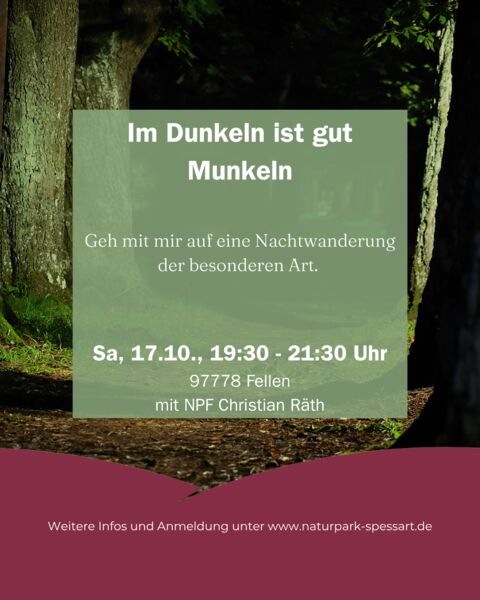 im-dunkeln-ist-gut-munkeln