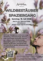 Wildbestäuber Spaziergang