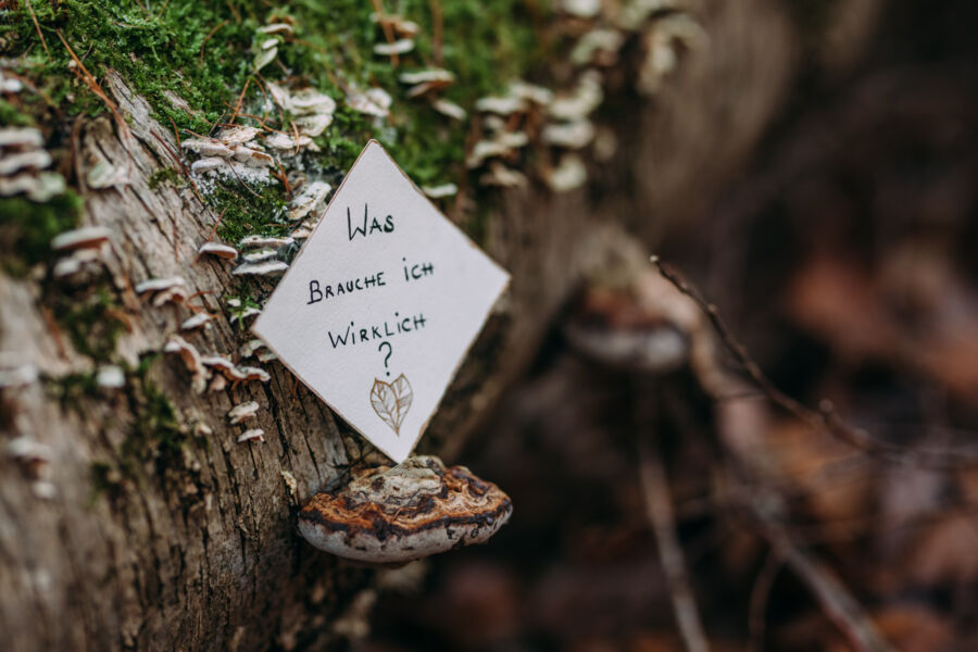 kraft-schopfen-aus-dem-wald-entspannung-fur-mamas
