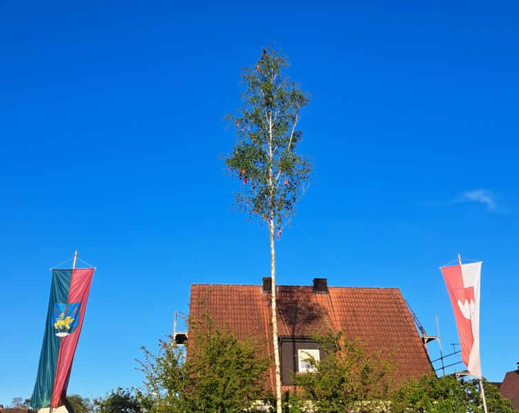 maibaumeinlegung-mit-strassenfest