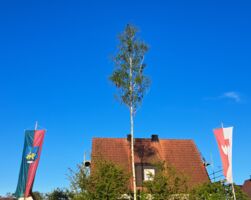 MaibaumEinlegung mit Straßenfest