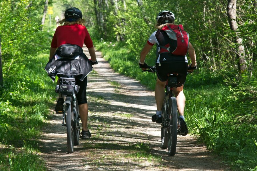 tour-de-forst-mit-fahrrad-und-forster-in-den-wald