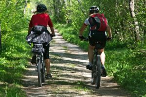 Tour de Forst – mit Fahrrad und Förster in den Wald