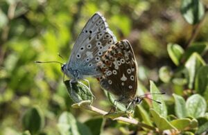 Vielfalt entdecken - Lebensräume verstehen - Geführte Wanderung mit Ranger Volker Bauer