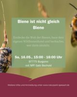 Biene ist nicht gleich Biene