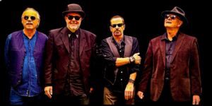 Cottonmouth Blues Band