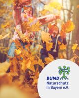 Kleine Naturdetektive unterwegs | Jahreszeiten-Abenteuer für Kinder - Für Familien mit Kindern von 6–8 Jahren