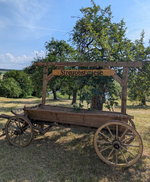 naturgemasser-obstbaumschnitt-pflanzung-und-grundlagen