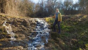 Frühling an Wasser und Wiese
