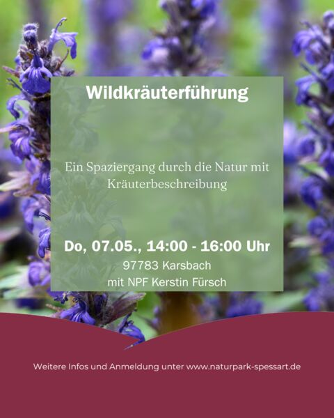 wildkrauterfuhrung